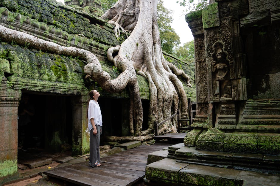 Best Hotels in Siem Reap Cambodia Pub Street