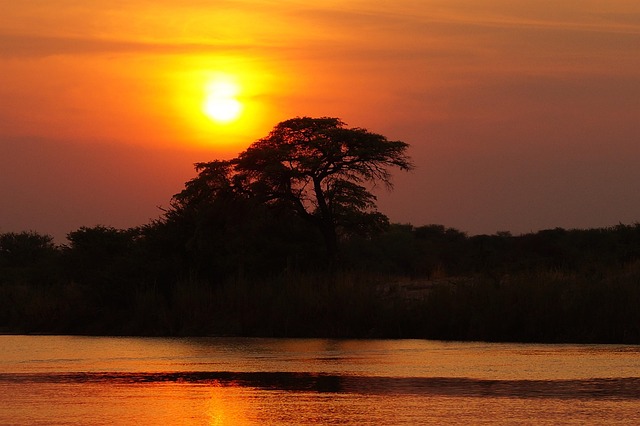 Botswana when wetlands, bird calls, and sunlight settle into one tempo