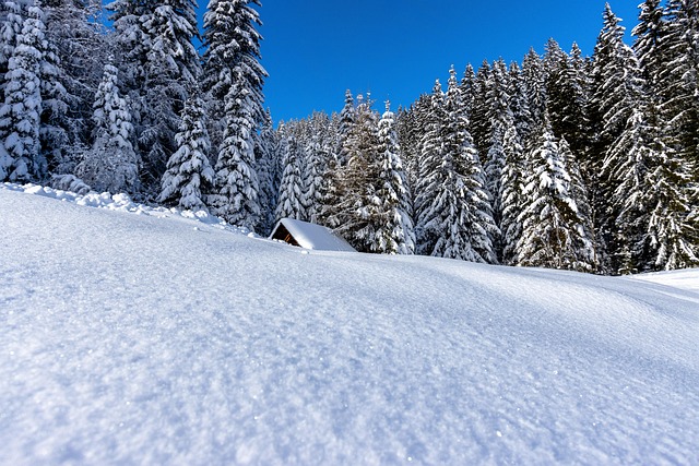 Bulgarian Black Sea retreat where sunshine and low-pressure days come naturally