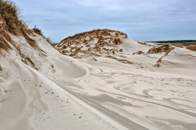 Comporta Sand Refuge with Pine Scent and Unshowy Coastal Luxury