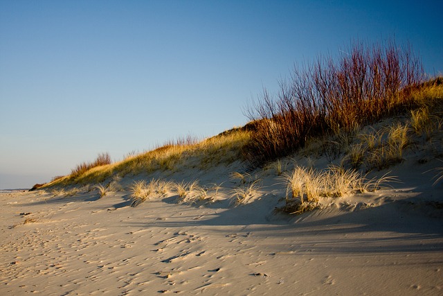 Curonian dune haven where distance, wind, and silence become the treatment