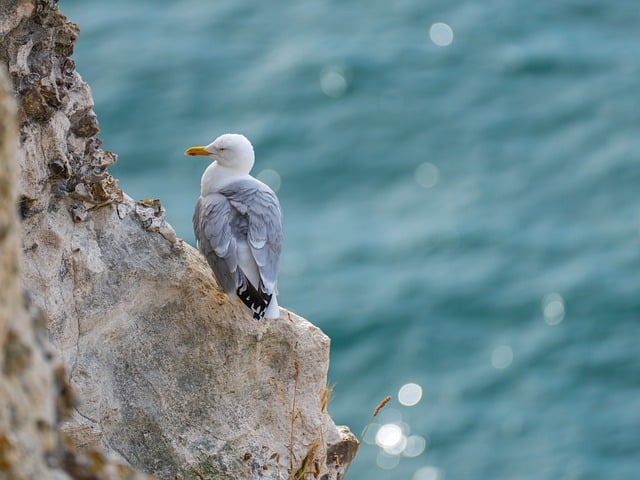 Muscat Cliff Refuge with Deep Sea Views and Stone-Cool Evenings
