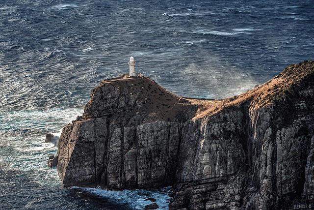 Sea Point Design Stay with Cape Light and Ocean-Proximate Stillness