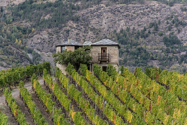 Valle de Uco vineyard haven with mountain-backed lunches and wide quiet